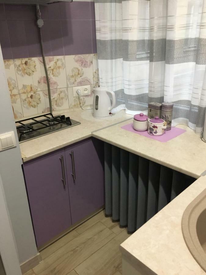 Romantik Eko Apartment Lviv Ngoại thất bức ảnh